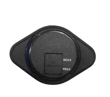 Schnellladegeräte Surface USB-Buchse MIT Quick Charge Protocol Controller + 1 USB-C MINI