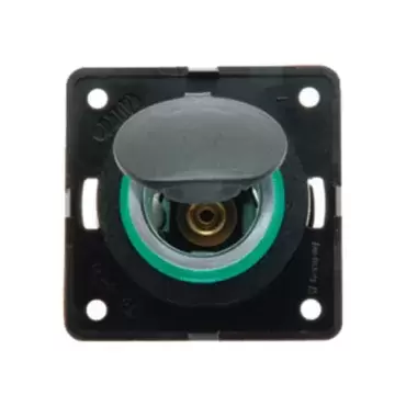 Einbau-12-Volt-Steckdose mit Berker-Line-Abdeckung für Wohnwagen, Wohnmobil und Camper